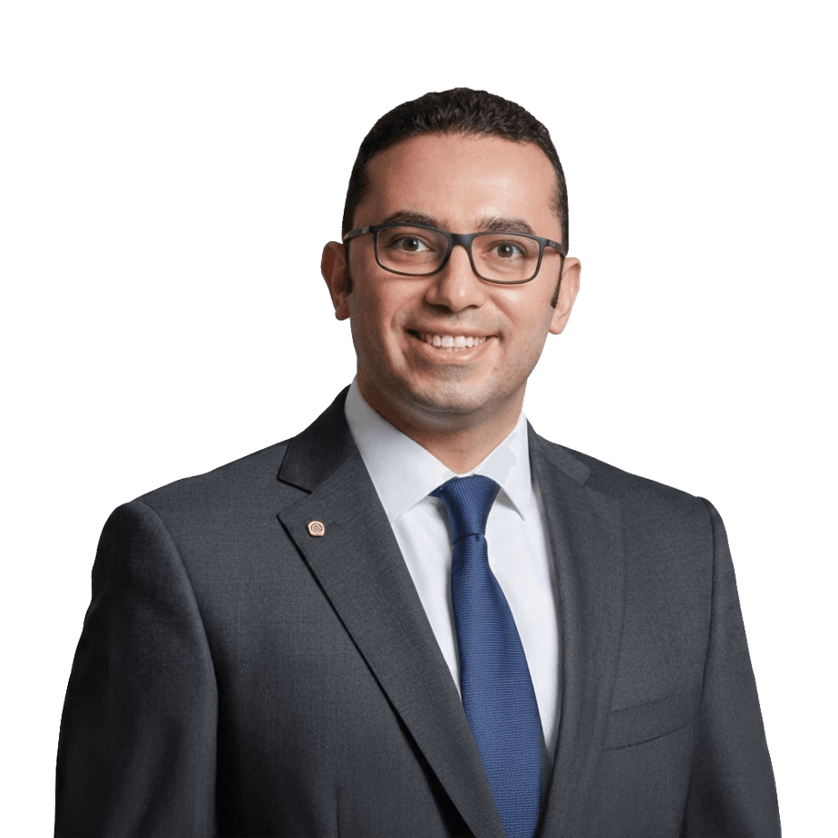 Dr. Mohamed El Rouby