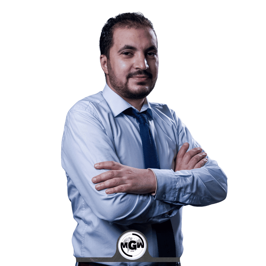 Mohamed Helmy Developer