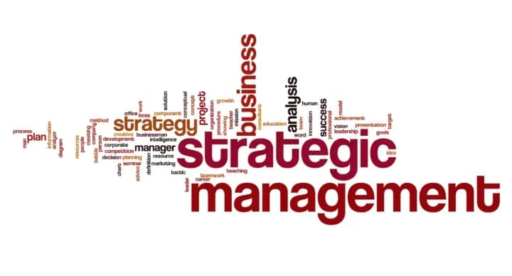 Strategic Management Challenges in Egyptian NGOs