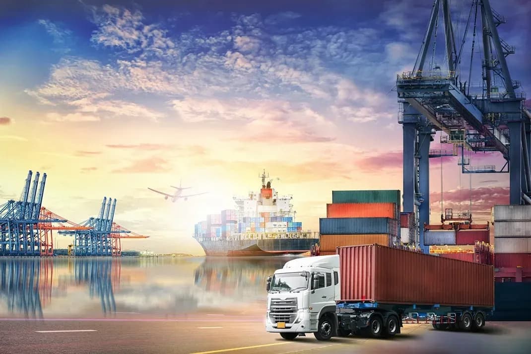 How Does Change Management Impact Egypt's Supply Chains
