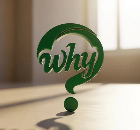 Why It Matters
