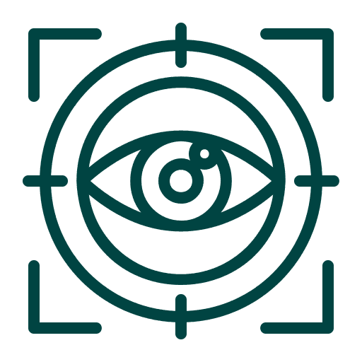 visionn1