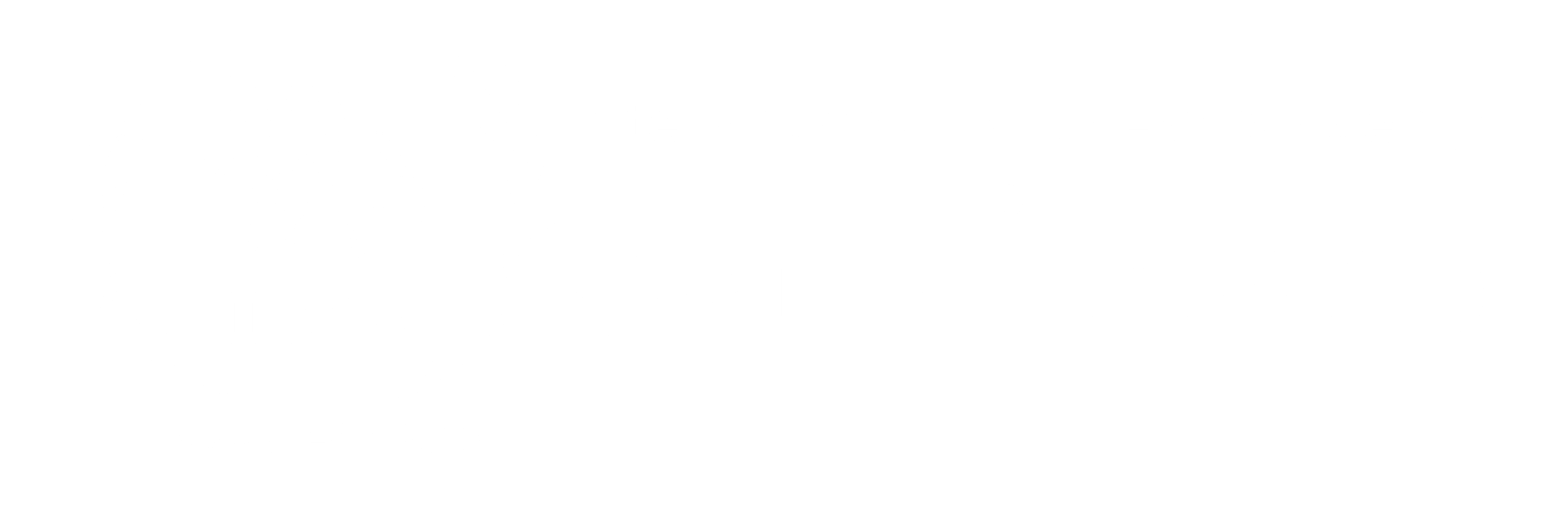 IBAS Logo White Version 01 scaled